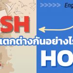 _Wish-และ-Hope-แตกต่างกันอย่างไร-